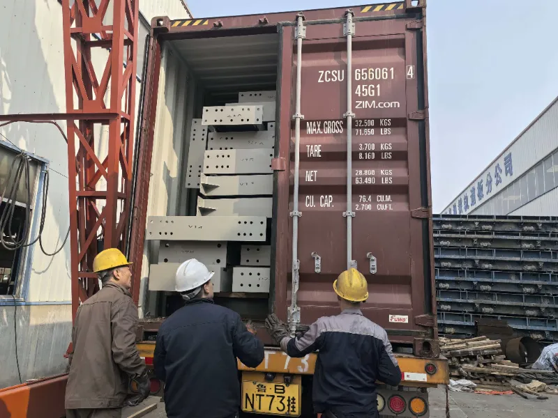 Stahlkonstruktionskomponenten für ein großes Stahllagerprojekt in Chile wurden erfolgreich geliefert und unterstützen den Bau eines lokalen Logistikzentrums